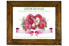 <h5>Certificate of Life for Aborted Baby</h5>