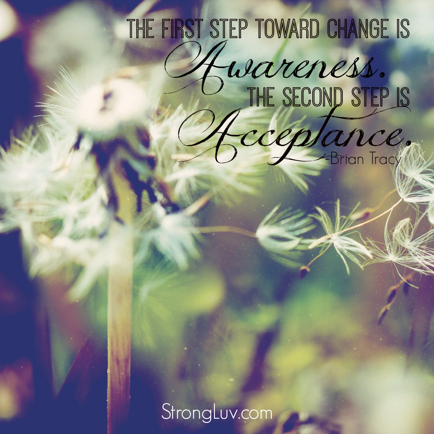 radical acceptance forgiveness